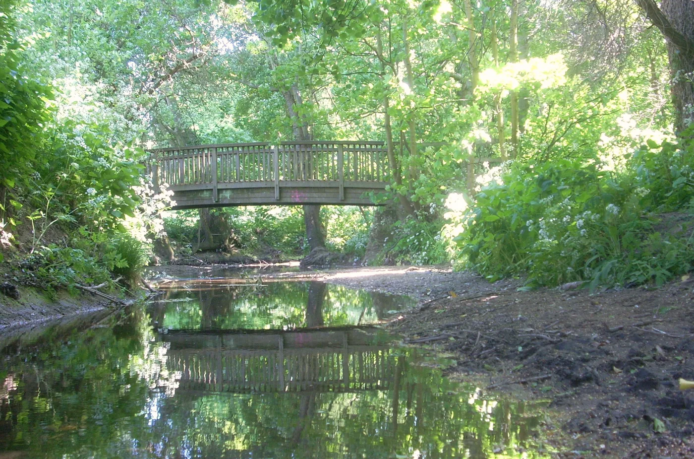 A wooden footbridge over the Dollis Brook in Windsor Open Space, on the Dollis Valley Greenwalk